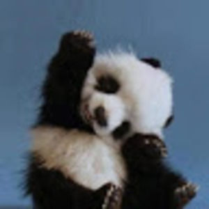 Meet your Posher, Chloe